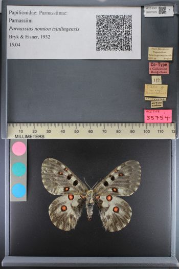 Media type: image;   Entomology 72570
